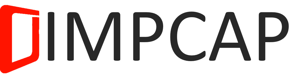 Logo: IMPORTANTCAPACITY - Architects of Change